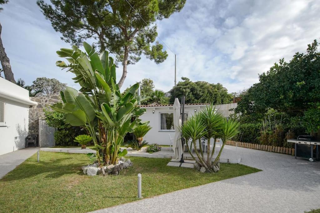Casa Vacanza M&C Ischia Forio di Ischia Eksteriør bilde