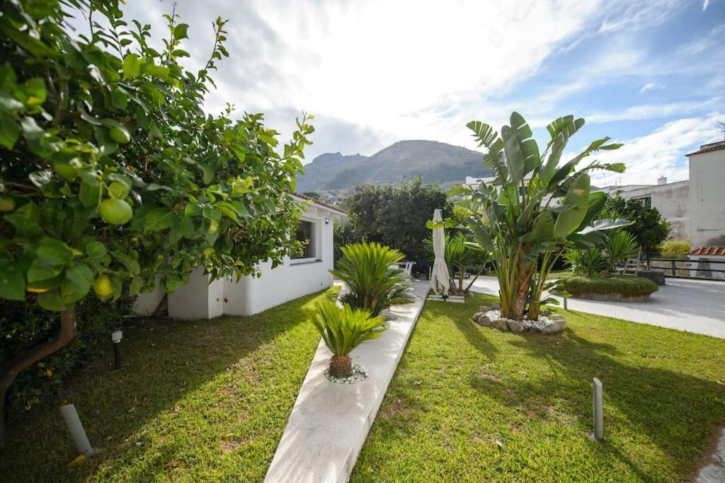 Casa Vacanza M&C Ischia Forio di Ischia Eksteriør bilde